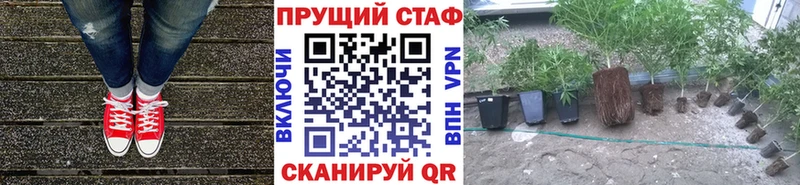 Где купить наркотики Электрогорск A-PVP Меф мяу мяу COCAIN ГАШ Каннабис