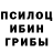 Псилоцибиновые грибы мухоморы Humble Hori