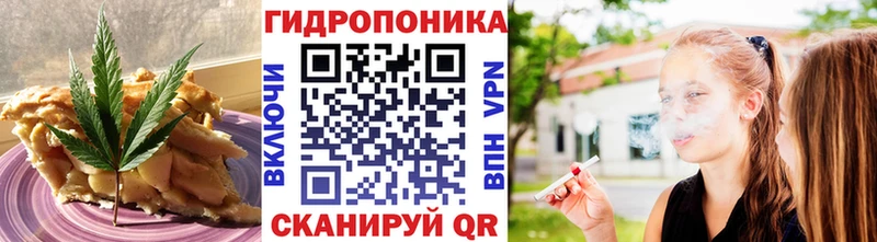 Canna-Cookies марихуана  Электрогорск 