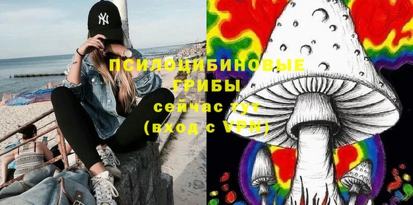 дживик Алексин